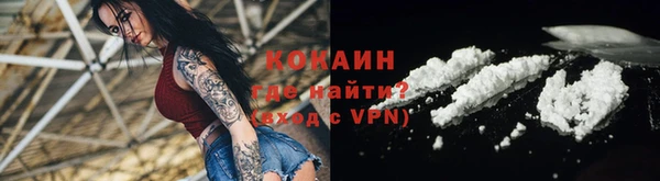дживик Арсеньев