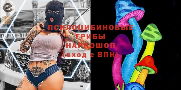 ГАЛЛЮЦИНОГЕННЫЕ ГРИБЫ Алзамай