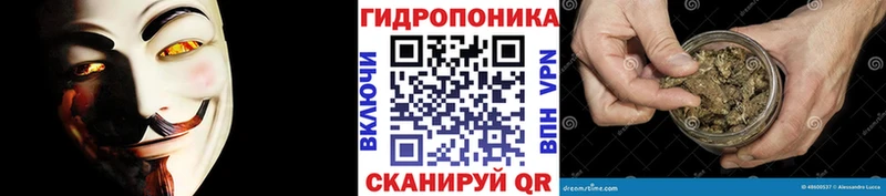 Бошки марихуана ГИДРОПОН  Козьмодемьянск 